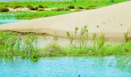 2017青草在线观看,年度热门影视盛宴回顾