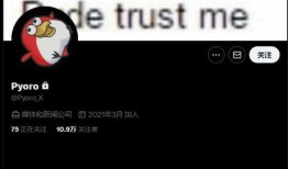 怎么看内鬼爆料视频,视频背后的真相与反思